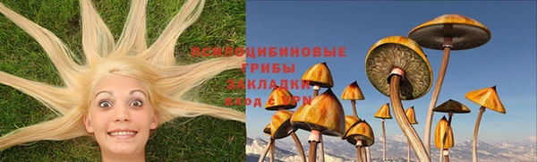 гидра Михайловка