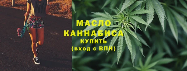 гидра Михайловка