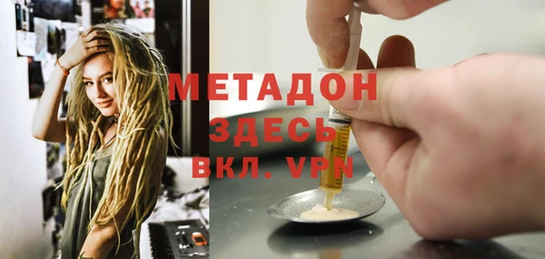 гидра Михайловка