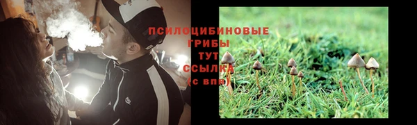 гидра Михайловка