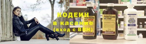 гидра Михайловка