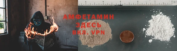гидра Михайловка