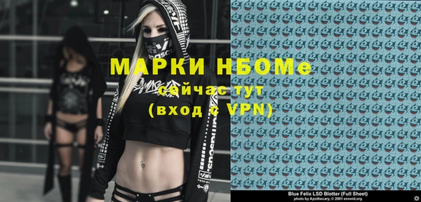 гидра Михайловка