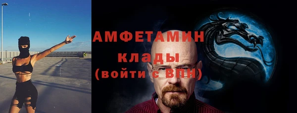 гидра Михайловка