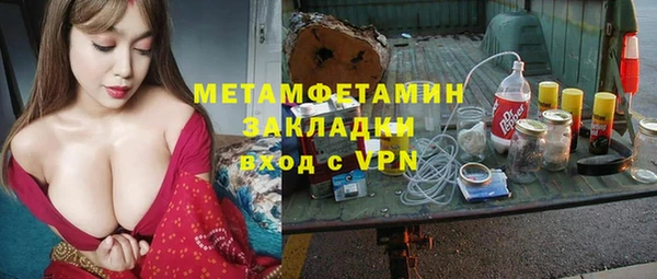 гидра Михайловка